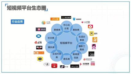 2017-2018互联网及新媒体发展趋势研究报告 社交媒体行业的转型与挑战